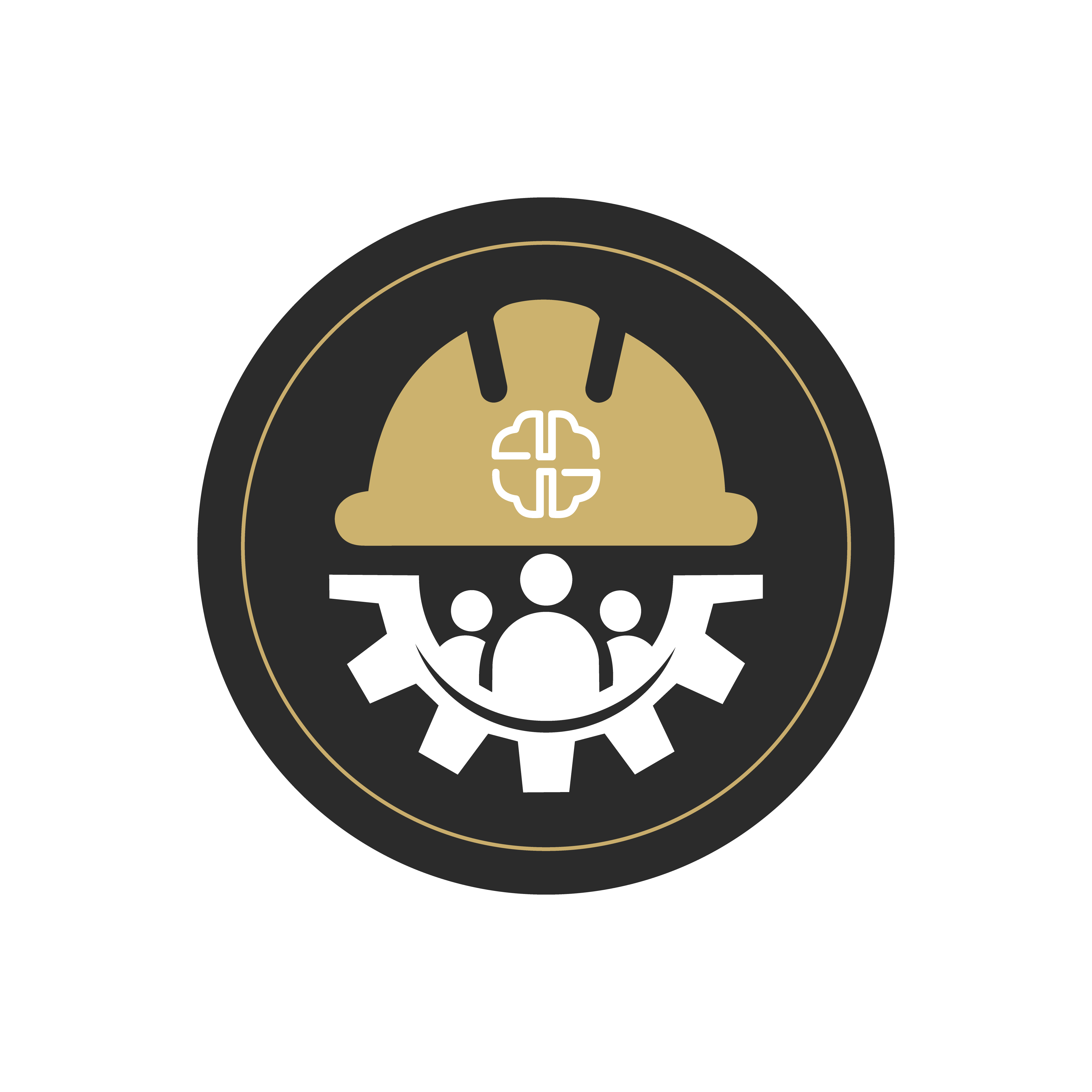 Selo de segurança do Grupo BRSUL